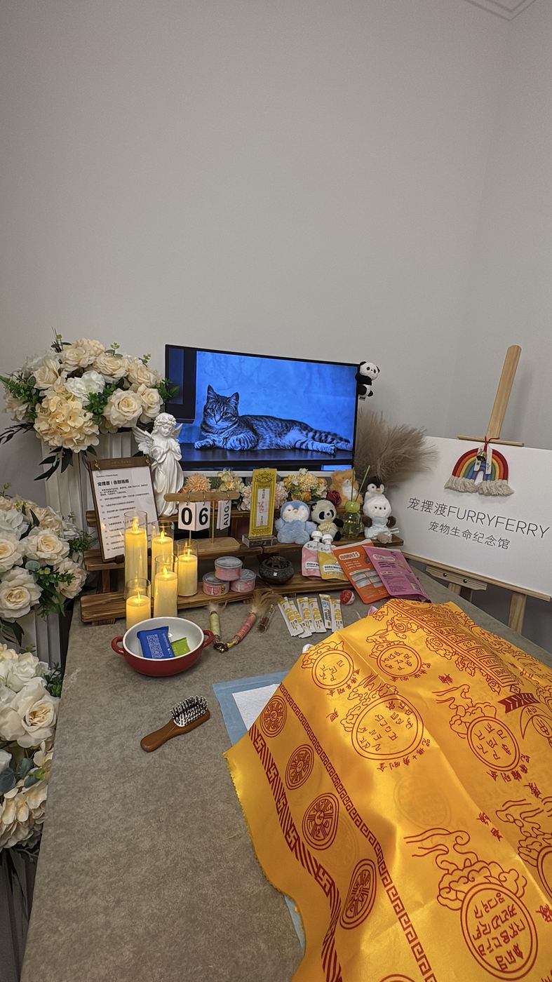 宠物的纪念照片